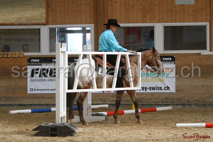 26-ApHC GT_097.jpg